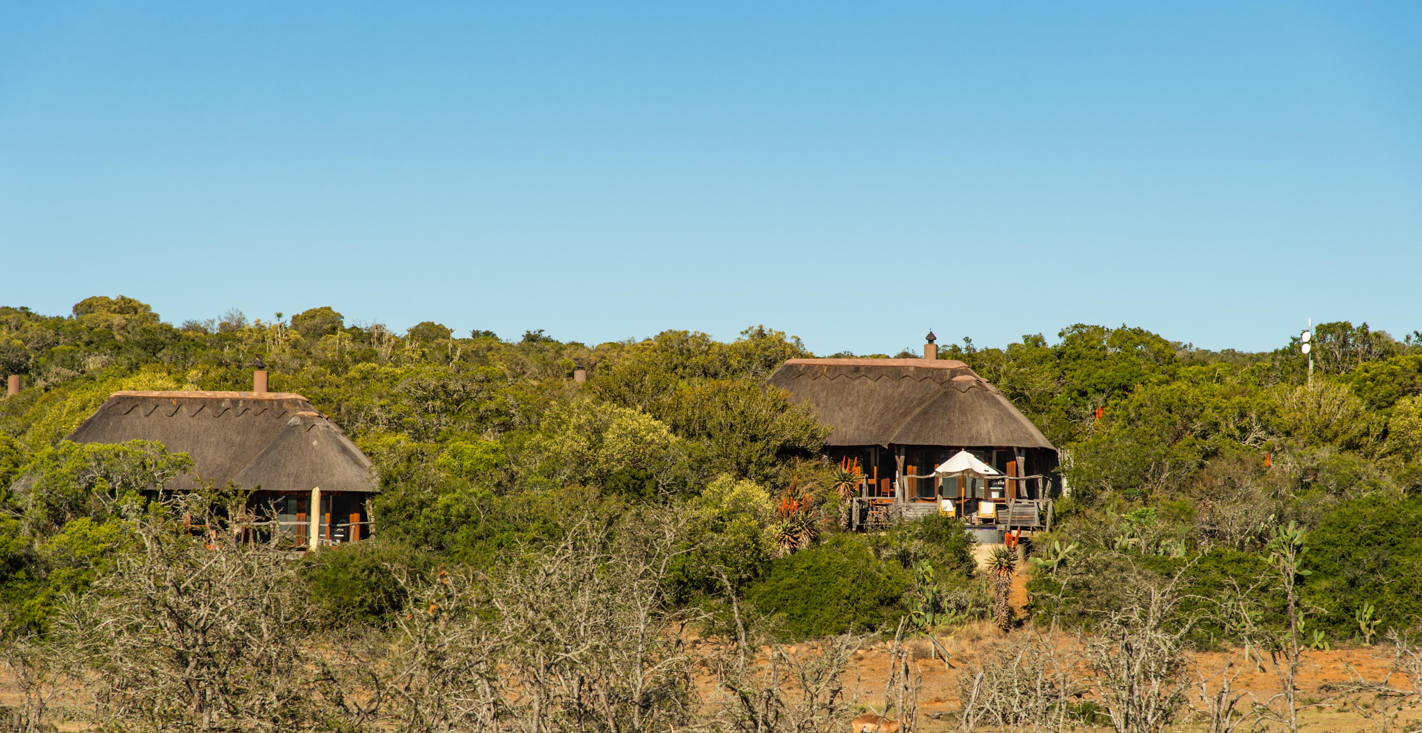 Pumba Private Game Reserve Port Elizabeth Exterior foto