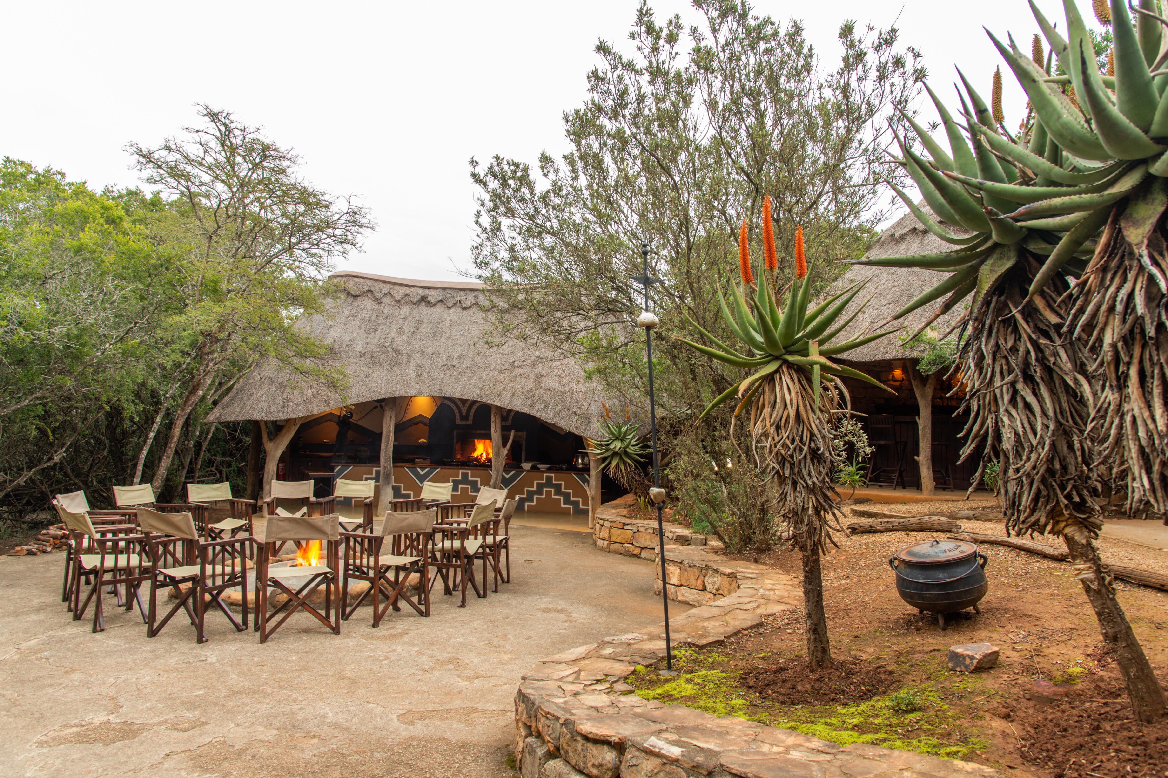 Pumba Private Game Reserve Port Elizabeth Exterior foto